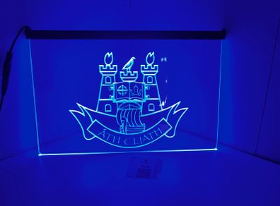 dublin gaa light