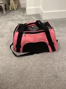 Small Pet Carrier