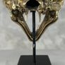 Snow Leopard (19cm) - Polished Bronze Image 9
