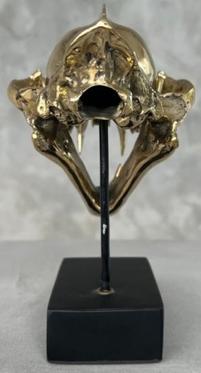 Snow Leopard (19cm) - Polished Bronze