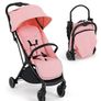 Buggy Image 2