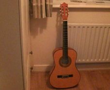 Herald Guitar 2