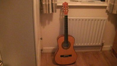 Herald Guitar 2