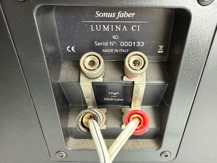 Sonus Faber Lumina V's