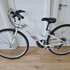 Apollo Excelle 14"