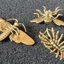 3 brass Insects, Solid brass. Image 2