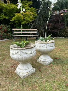 Two period stone planters