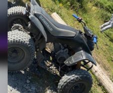 quadzilla