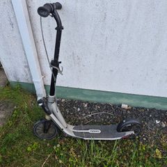 Adult scooter
