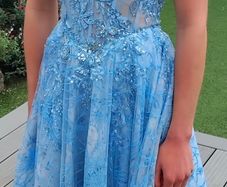 debs dress / ball gown