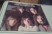 The Marmalade.