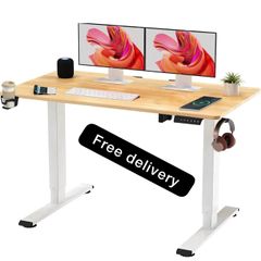 Electric Standing Desk ONE PIECE 110 x54 Height Adjustable Desk
