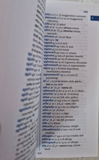 Irish dictionary