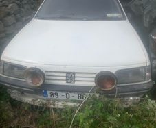 1.6 peugeot 405