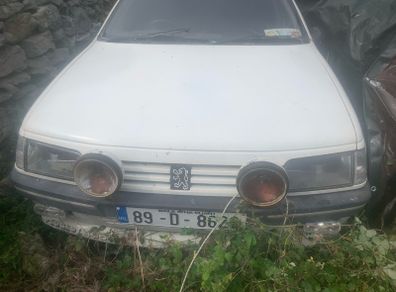 1.6 peugeot 405