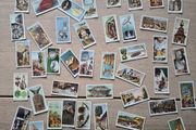 Tobacco Card, Churchman, TREASURE TROVE, 1937 set of 50