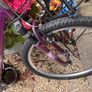 Bike Image 3