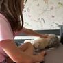 free bunny Image 3
