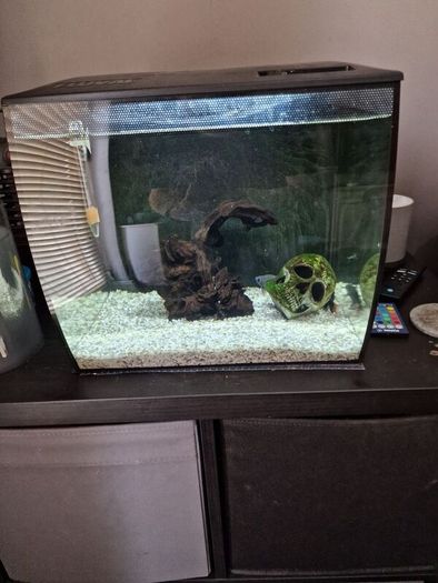 fluval flex fish tank 34L