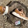 Nike Air Huarache OG Flax Cream Brown Image 3