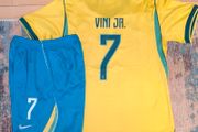Brazil world cup national team Vini junior kids