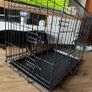 dog crate Image 2