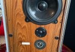 B&W dm/2s