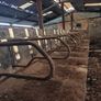 Cow Cubicles Image 8