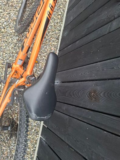 Giant ARX 24 inch kids bike