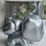 Silver Bulbasaur XL Funko Pop Image 3