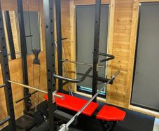 Full Gym Home Rig - Bench, Olympic Bar