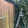 Shed Image 2