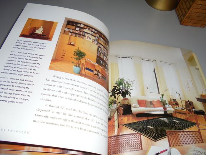 Feng Shui Revealed Book for Sale