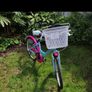 Girls Bike Image 2