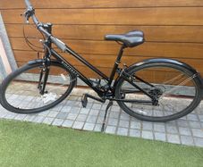 Ladies Bike