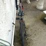 Ridgeback Mx2 (I am up to negotiation!) Image 5