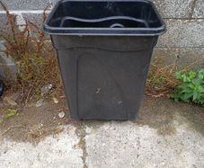 black Bin