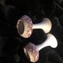 Moville handmade candlesticks - pair Image 6