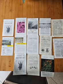 1960s Department Of Agricultural Booklets On Farming. Topics Such As Patato Growing,planting Forest Trees,desease Control And Others. In Good Condition.  See Photos For Same.
