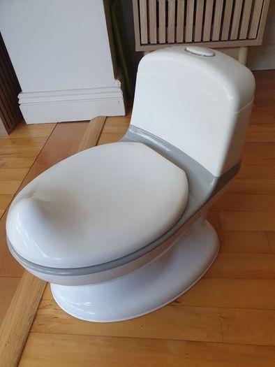 Toilet potty
