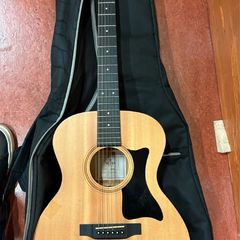 Electro acoustic Guitar