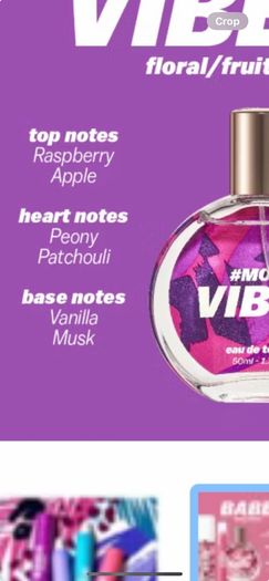 Mood Perfume stick 2.3g FloralFruity