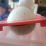 hatchimal Image 9