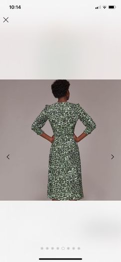 Whistles dress