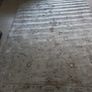 Rug Image 2