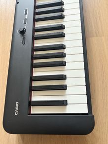 casio digital piano CDP-S110