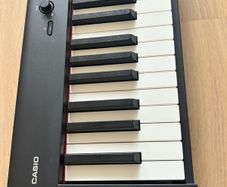 casio digital piano CDP-S110