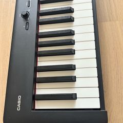 casio digital piano CDP-S110