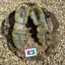 Rare Nike Air Vapormax Woven Black Leather Multi Image 4