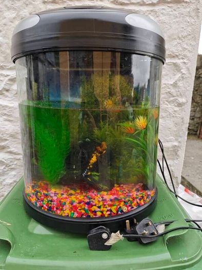 Fish Tank